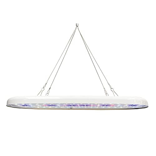 Ferry Morse LED Grow Light - Undershelf, Energy Efficient, Indoor, Removable - 15.75 x 0.75 x 6 in