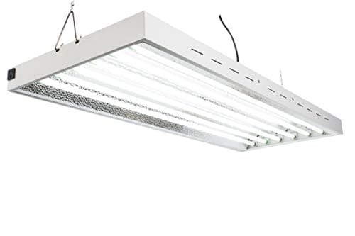 LumiaStar 4Ft X 18In 6Lamps 300W T5 Fluorescent Grow Lights with 6500K Grow Lamps and 30000 Lumens & High PPFD, Great for Seeding, Colon, and VegGrowing Stages of Indoor Garden Plant. Growing Fast!