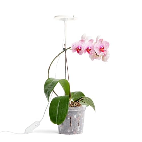 rePotme Grow Light for Orchids, Lumina Orchid, Full Spectrum Plant Light with Adjustable Height and Automatic Timer (White)
