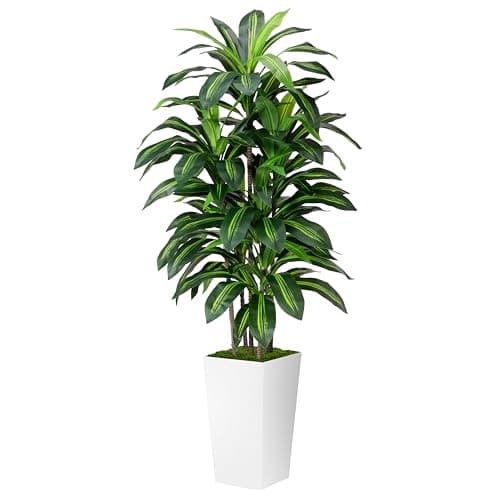 Artificial Dracaena Plant Indoor 5FT - Fake Tree with White Tall Planter - Faux Yucca Tall Fake Floor Plant in Pot - Artificial Trees for Home Office Living Room Decor Indoor