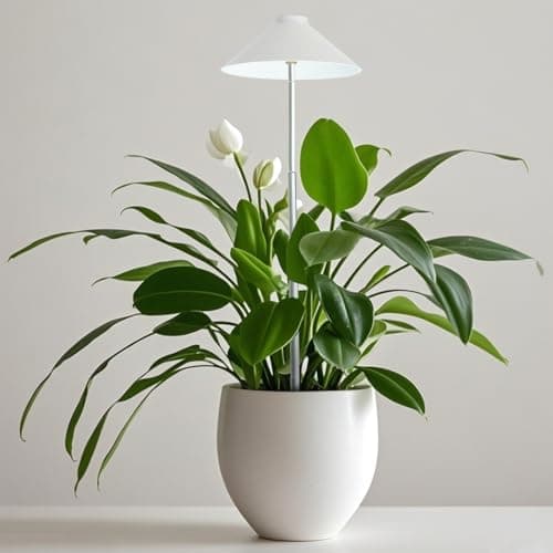 PROTOPIA MiniSun LED Grow Light for Indoor Plants - Umbrella-Shaped Full Spectrum, 8/12/16H Timer & Dimmable, Height-Adjustable USB 5V Low Voltage for Succulents Herbs (1 Pack