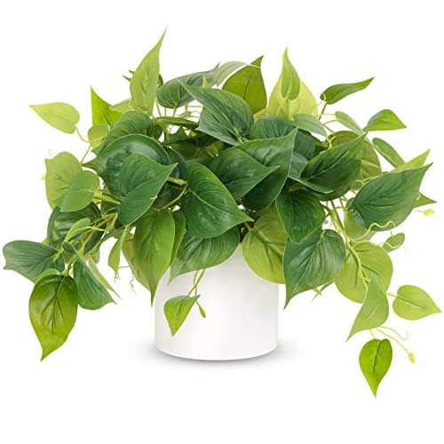 JPSOR Faux Plants Indoor, Pothos Small Fake Plants for Home Decor Indoor Fake Potted Plant Artificial Plants for Living Room Shelf Home Office Decor（White Ceramic Pot）