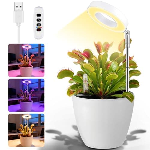 Churika Venus Flytrap Desktop Pot with LED Grow Light — Planter Pot with Air Vent for Indoor Succulents, Moss & Butterwort Plants, Unique Home & Office Desk Decor Gift