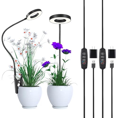 GLOWRIUM Grow Lights for Indoor Plants, Full Spectrum LED Grow Light Floor Lamp with Stand Adjustable Height and Angle, Black Plant Light with 3/9/12H Grow Light Timer (Black, 20W)
