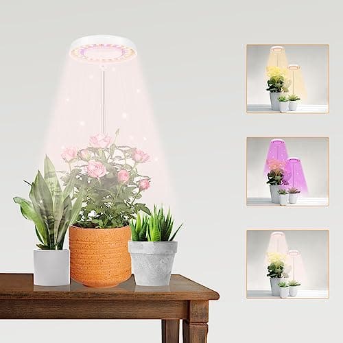 GooingTop LED Grow Light, Halo Plant Lamp for Indoor Plants Growing, White Low Light for Succulents Mini Small Plants Growth,Upgrade Timer 4/8/12/18 Hrs & Variable Spectrum,1 Pack