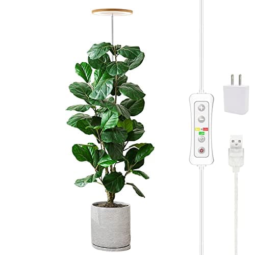 Tropical Plant Grow Light