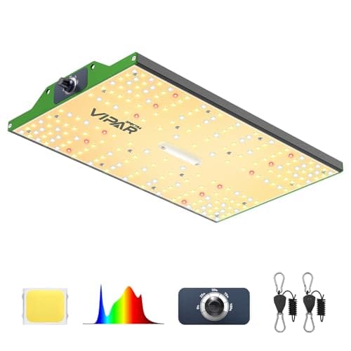 Best LED Grow Lights For Vegetables