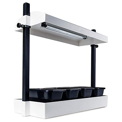 GYTF Halo Plant Grow Light, 6000K White LED Full Spectrum Growing Lamp for Indoor Plants, Succulents, Mini Bonsai, Small Plants, Height Adjustable, Dimmable & Timer 4/8/12/18Hrs