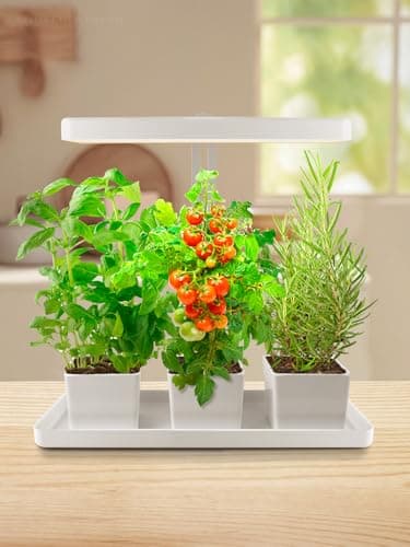 LEASTYLE Wireless Spotlight Indoor,Battery Operated Grow Light for Plants with Remote, LED Cordless Dimmable Picture Lights for Wall Paintings Artwork Display(2 Pack)