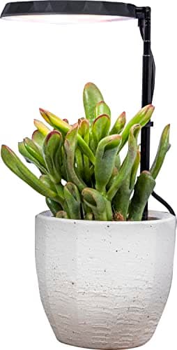 AeroGarden Stem Grow Light for Indoor Plants, Grow Live Plants Anywhere in the Home, Adjustable Light Modes, Black