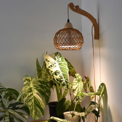 GYTF Halo Plant Grow Light, 6000K White LED Full Spectrum Growing Lamp for Indoor Plants, Succulents, Mini Bonsai, Small Plants, Height Adjustable, Dimmable & Timer 4/8/12/18Hrs