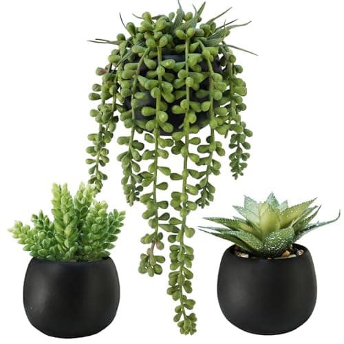 Winlyn Set of 3 Artificial Succulents Plants in Black Cement Planters Faux Potted Plants Aloe String of Pearls Donkey Tail Small House Plants 5" Tall for Table Shelf Home Office Bathroom Living Room