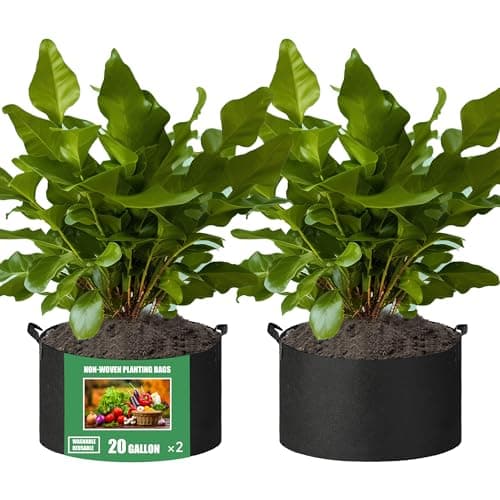 FVOTNW 2-Pack 20 Gallon Fabric Grow Bags with Handle, Heavy Duty 300G Thickened Nonwoven with Handles and Reusable, Suitable for Garden Vegetables,Fruits and Flowers(Black)