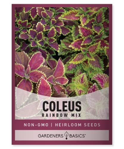 Gardeners Basics Coleus Seeds for Planting (Rainbow Mix) - Heirloom Non-GMO Shade Plants Seeds for Home Gardens, Containers, Hanging Pots, Decorative Borders and More