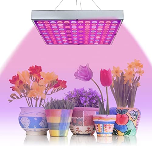 Juhefa LED Grow Lights for Indoor Plants, Panel Plant Light Full Spectrum with IR & UV Bulbs for Seedlings,Micro Greens,Clones,Succulents (Size:9.9x9.9inches)