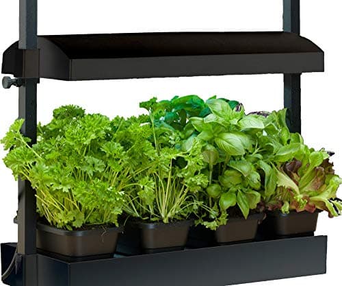 GooingTop LED Grow Light,6000K Full Spectrum Clip Plant Growing Lamp with White Red LEDs for Indoor Plants,5-Level Dimmable,Auto On Off Timing 4 8 12Hrs