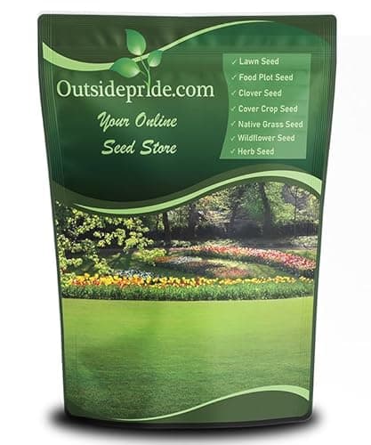 Outsidepride Creeping Red Fescue Grass Seed - 5 Lbs. Cool Season, Soft Textured, Self-Repairing Fine Fescue Grass Seeds for Lawn w/OptiGrowth Coating, Ideal for Dryland Cover Crop & Landscaping