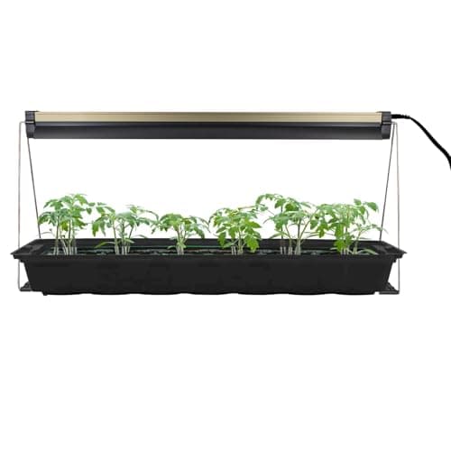 Ferry Morse Grow Light