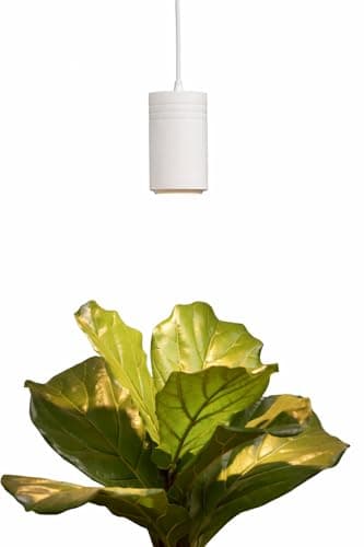 Aspect Soltech Gen 2 – World’s First Decor Grow Light | White High-Output LED Pendant Grow Light for Indoor Plants | Warm White, Natural Light | Dimmable