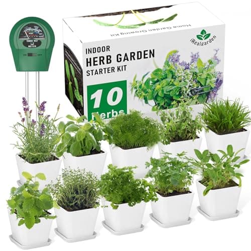 Indoor Herb Garden Kit