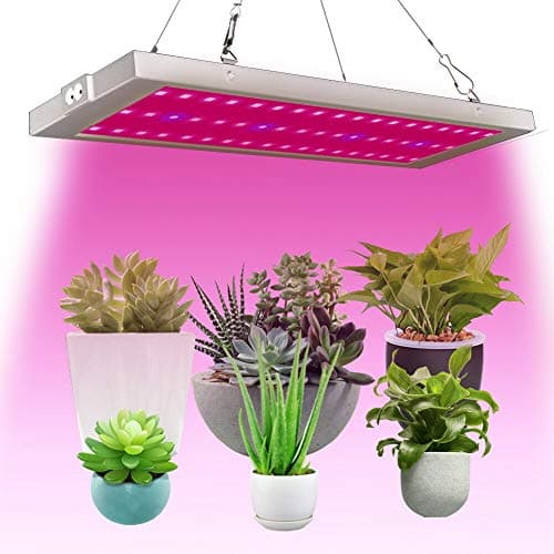 CASTNOO 300W 54 LED Grow Lights