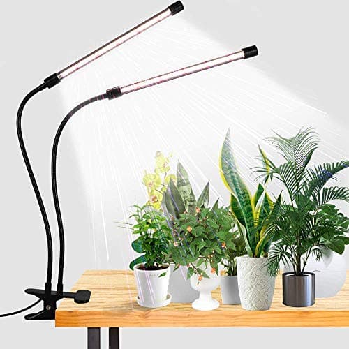 Best Indoor Grow Lights